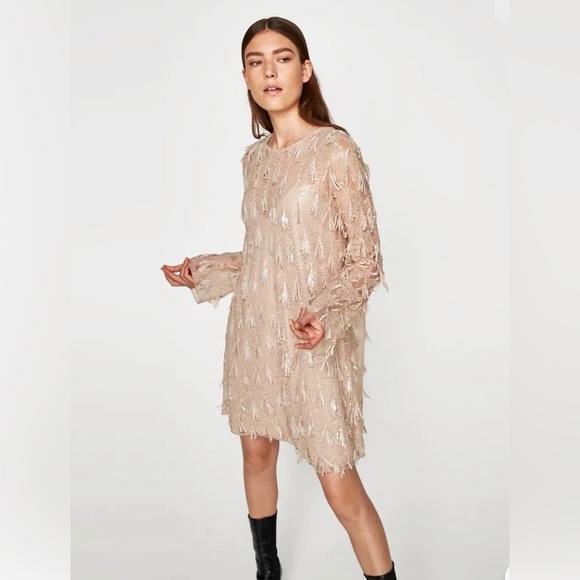 ZARA BLUSH SEQUIN FRINGE DRESS - Picture 2 of 8